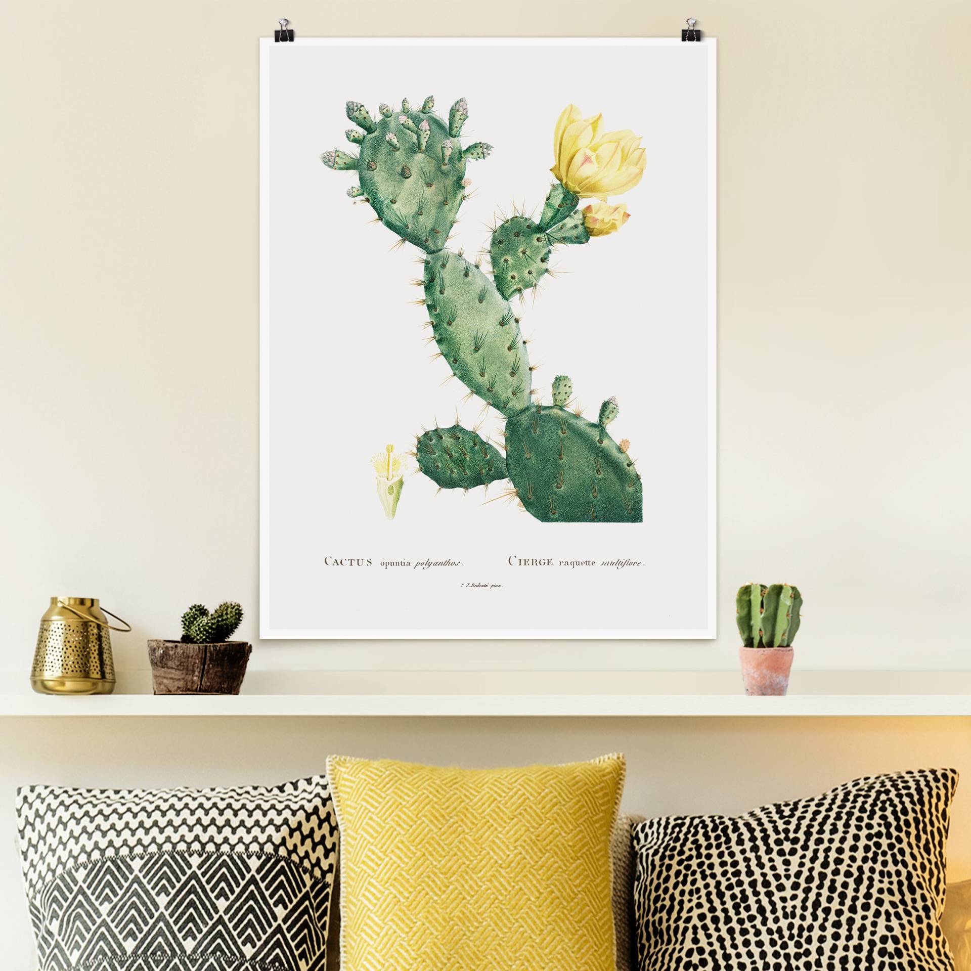 Poster Botanik Vintage Illustration Kaktus mit gelber Blüte von Klebefieber