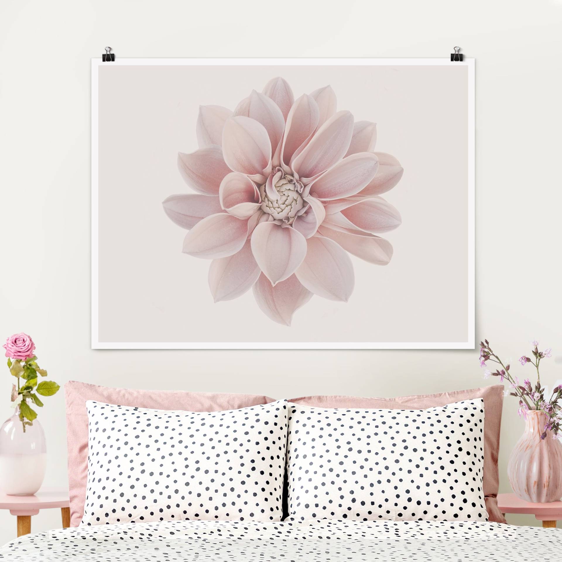 Poster Fotografie Dahlie Blume Pastell Weiß Rosa von Klebefieber