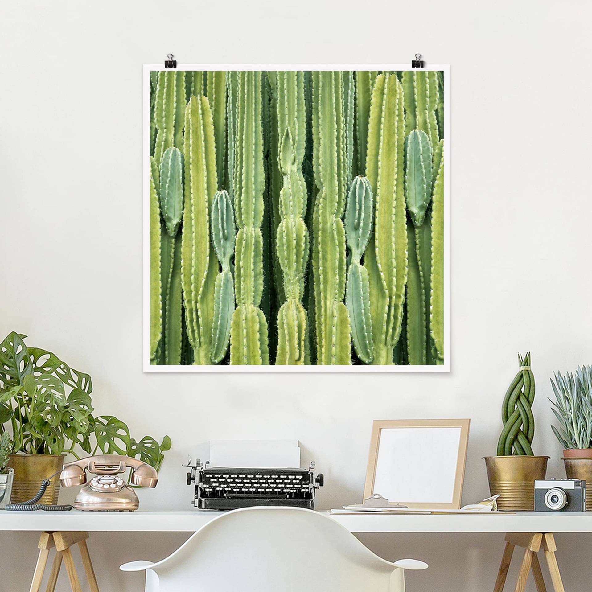 Poster Kaktus Wand von Klebefieber