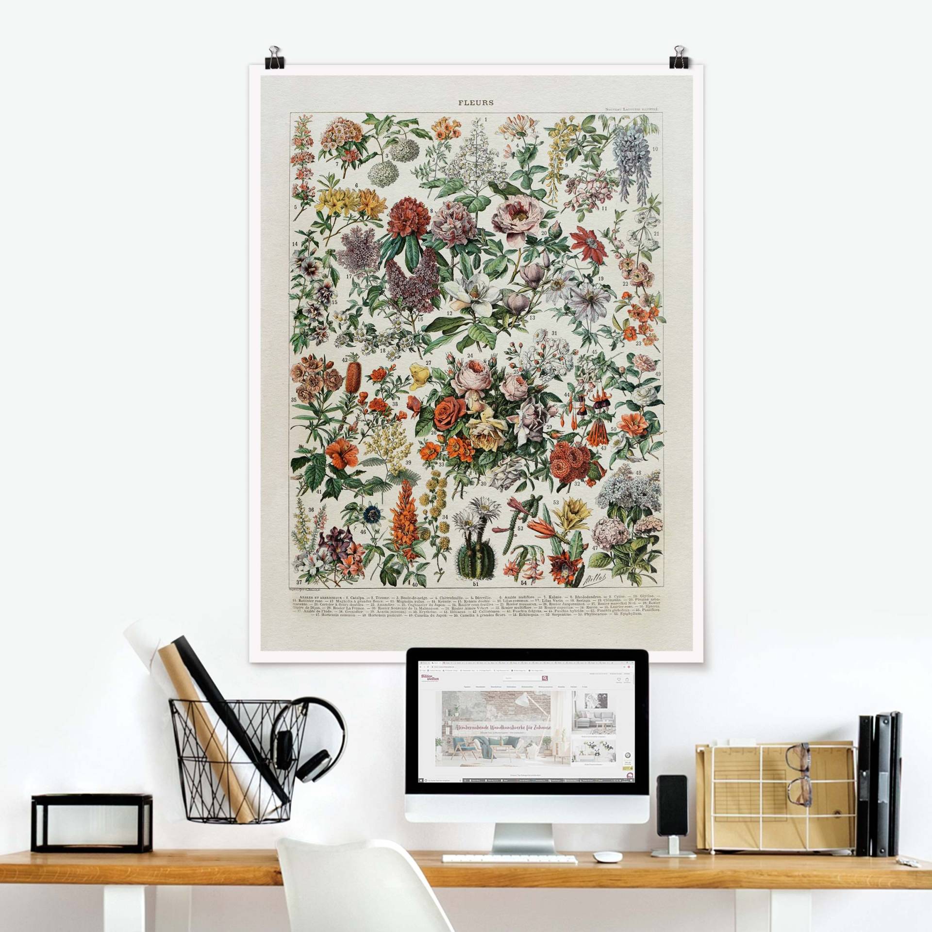 Poster Vintage Lehrtafel Blumen II von Klebefieber