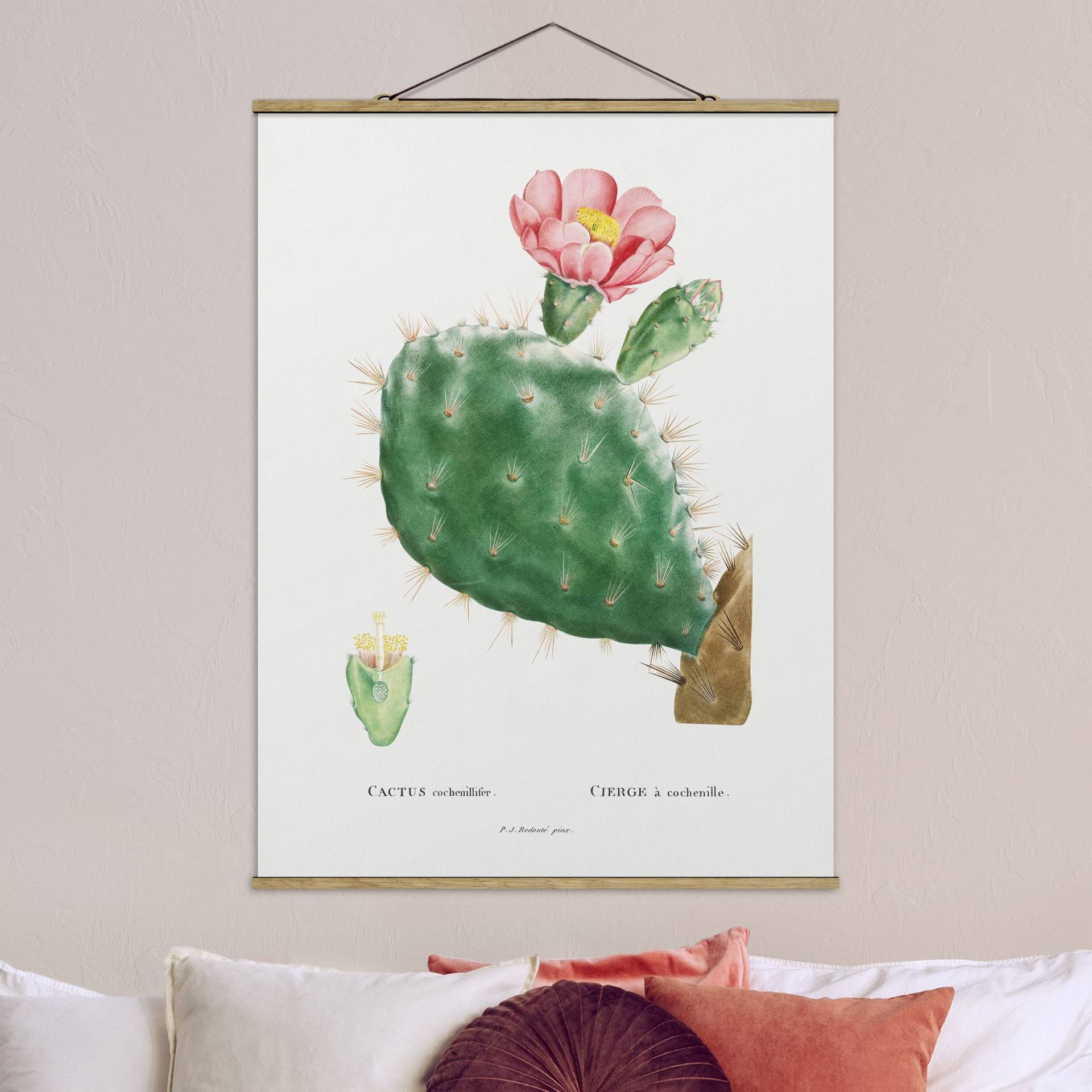 Stoffbild mit Posterleisten Botanik Vintage Illustration Kaktus Rosa Blüte von Klebefieber