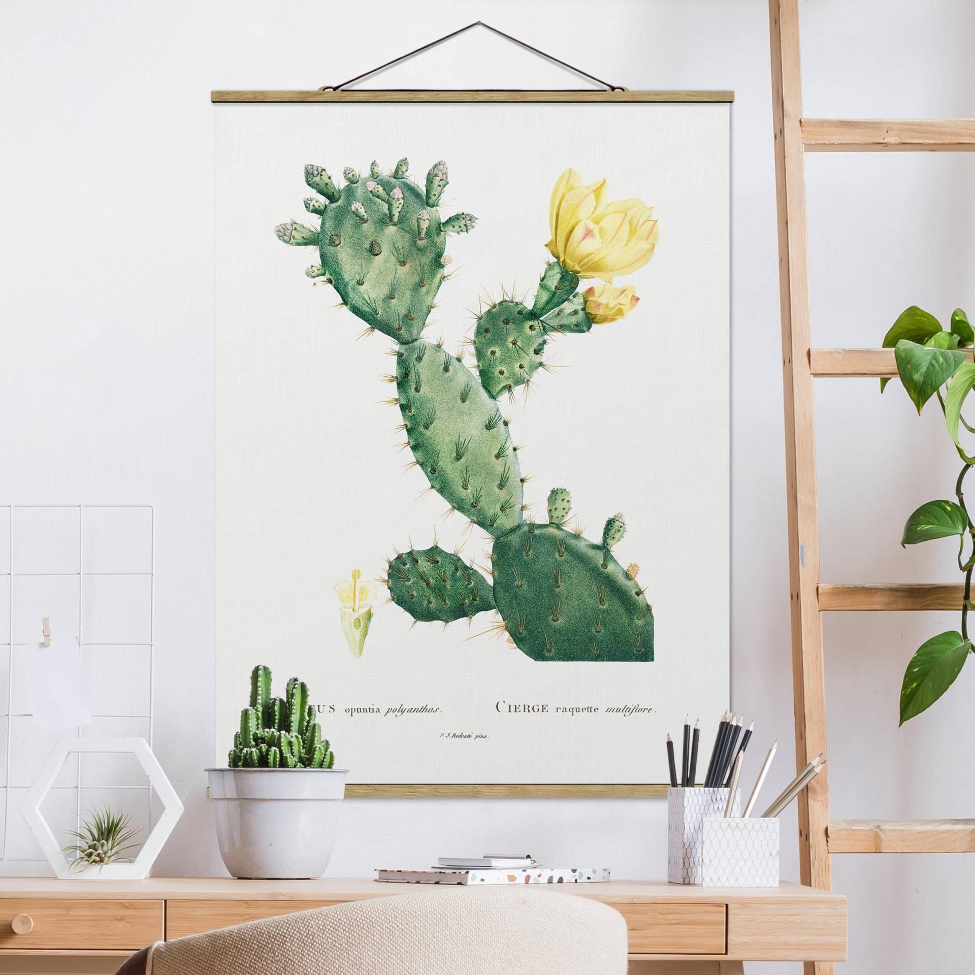 Stoffbild mit Posterleisten Botanik Vintage Illustration Kaktus mit gelber Blüte von Klebefieber