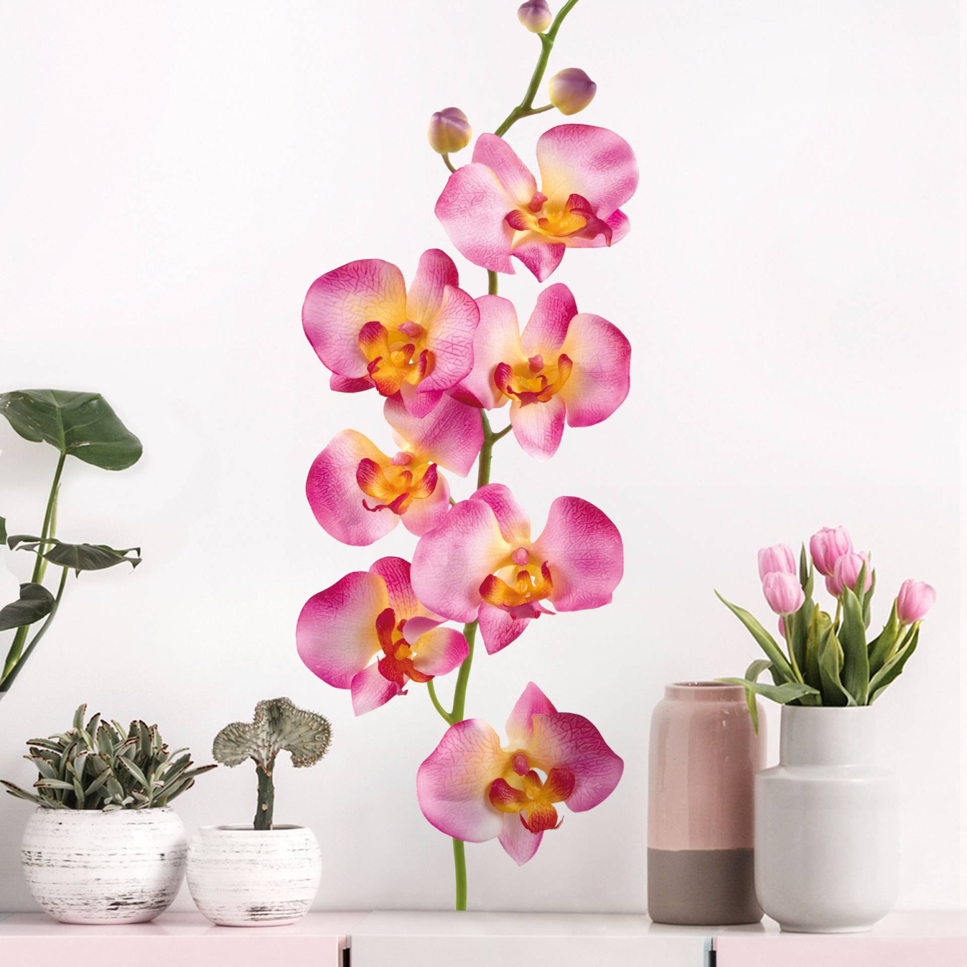 Wandtattoo Blumen No.177 Orchidee Rosa II von Klebefieber