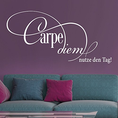 Wandtattoo Carpe Diem (Farbe beige/Größe 60x30cm) von Klebeheld