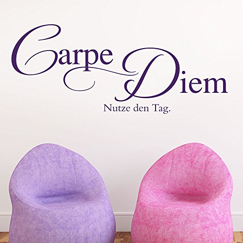 Wandtattoo Carpe Diem No.7 (Farbe hellbraun/Größe 60x25cm) von Klebeheld