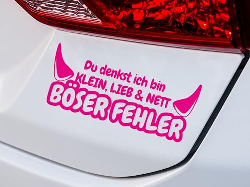 KLEBEKÖNIG lustiger Autoaufkleber - Du denkst ich bin klein - 25x10cm Tuning Aufkleber Sticker sprüche Stickerbomb Heckscheibenaufkleber Jdm lustige Auto-Aufkleber Fahrzeug Dekor von Klebe könig