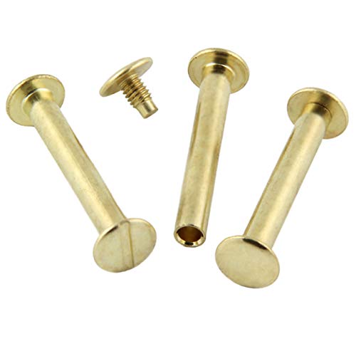 Buchschrauben vermessingt oder vernickelt verschiedene Größen, 20, 50, 100 oder 1000 Stück / (40 mm, 100 Stück, vermessingt) von KLEBESHOP24