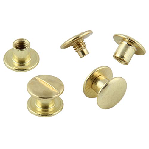 Buchschrauben vermessingt oder vernickelt verschiedene Größen, 20, 50, 100 oder 1000 Stück / (7 mm, 1000 Stück, vermessingt) von KLEBESHOP24