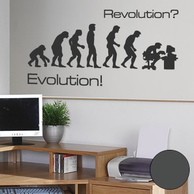 A168 Wandtattoo "Evolution" 60cm x 30cm anthrazit - Dekoration - Bad - Wohnzimmer - Aufkleber - Wandsticker von Klebesüchtig