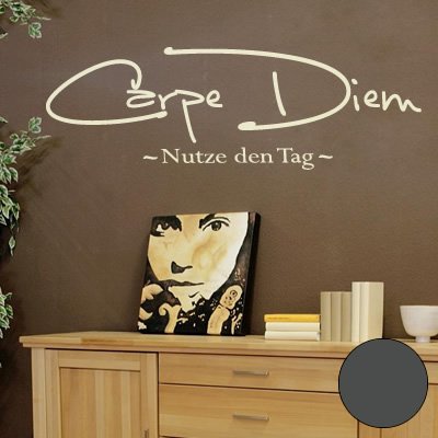 A536 Wandtattoo "Carpe Diem" 180cm x 56cm anthrazit (erhältlich in 40 Farben und 4 Größen) von Klebesüchtig