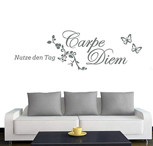 A604 Wandtattoo "Carpe Diem" 120cm x 37cm grau (erhältlich in 40 Farben und 4 Größen) von Klebesüchtig