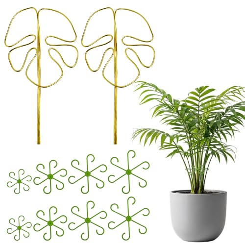 Kleemeiero Pflanzenstütze 2er Set Rankhilfe Monstera mit 8 Stück Pflanzenhalter Staudenhalter Wiederverwendbarer Pflanzen Stütze Vielfältige Stängelstütze für Alocasia Monstera Blume Hortensien Rosen von Kleemeiero