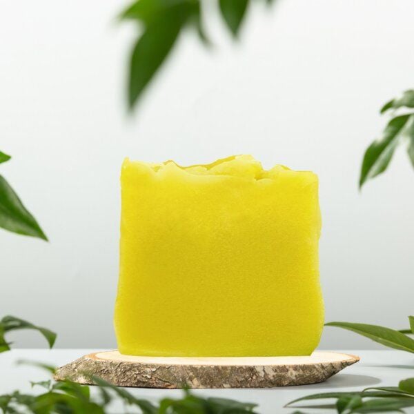 Kleine Auszeit Manufaktur Aloe Vera Haarseife - vegan, bei trockenem, sprödem Haar und trockener Kopfhaut - auch als Körperseife geeignet von Kleine Auszeit Manufaktur