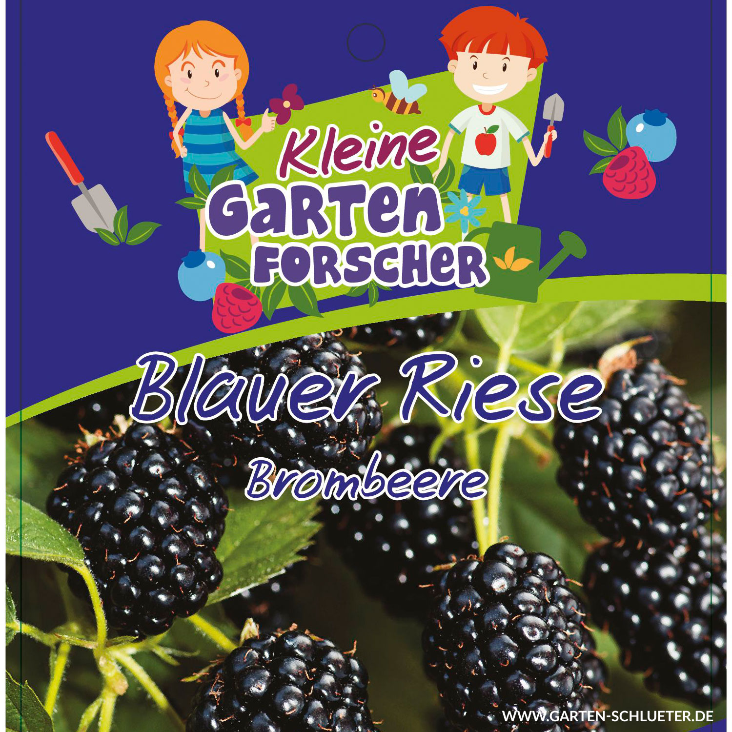 Brombeere 'Blauer Riese'  - Kleine Gartenforscher von Kleine Gartenforscher