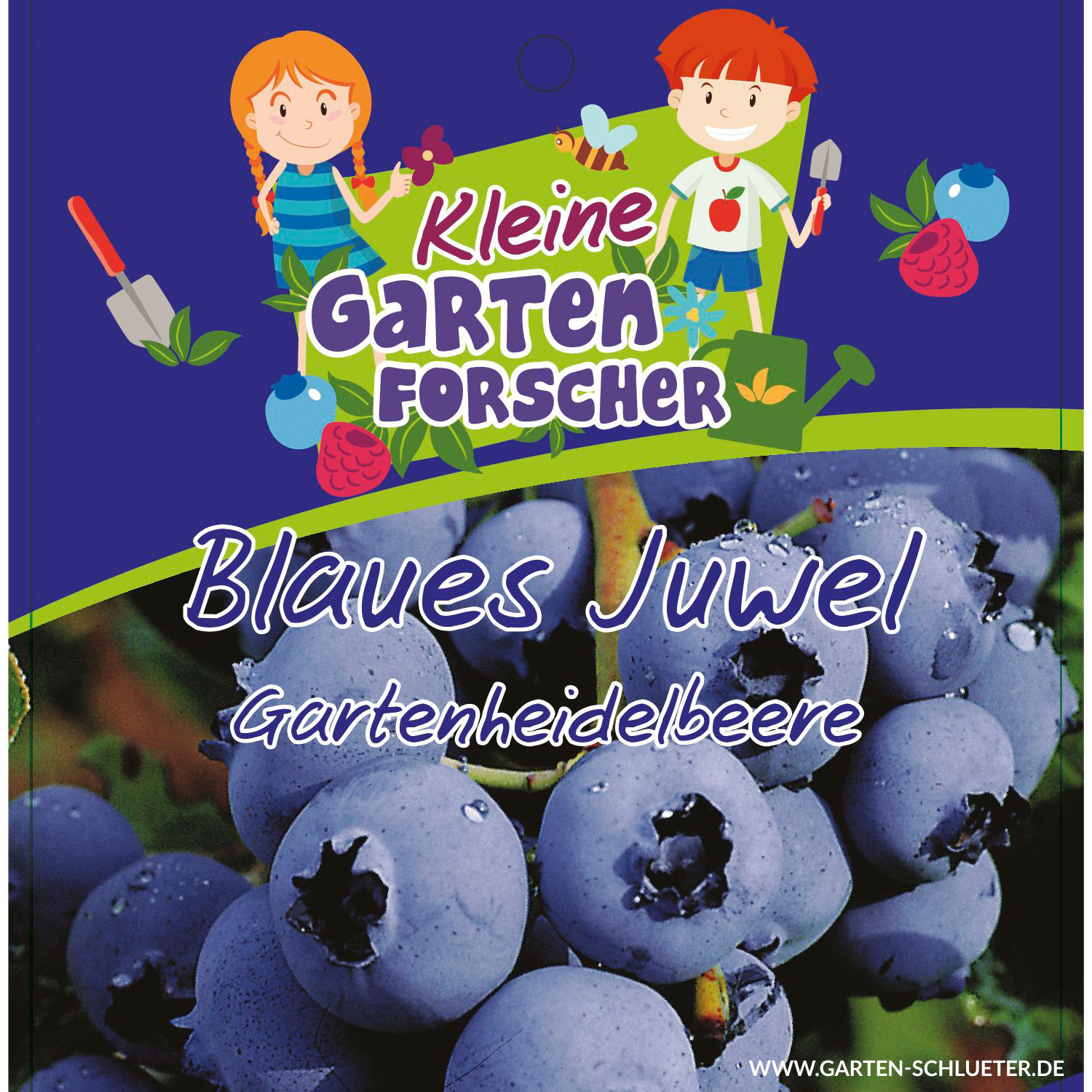 Gartenheidelbeere 'Blaues Juwel' - Kleine Gartenforscher Liefergröße: ca. 30 - 40 cm Gartenheidelbeere 'Blaues Juwel' - Kleine Gartenforscher Liefergröße: ca. 30 - 40 cm von Kleine Gartenforscher