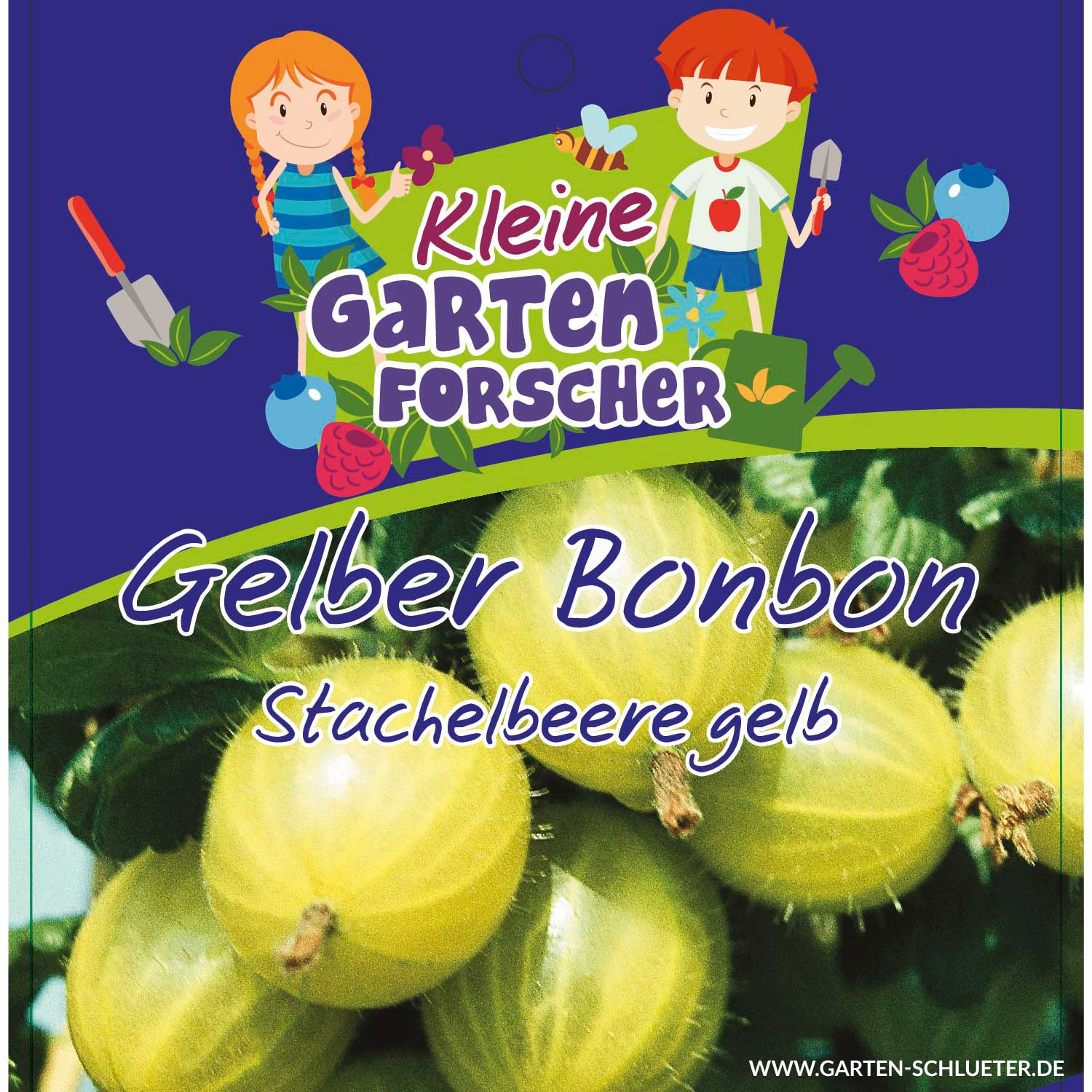 Gelbe Stachelbeere 'Gelber Bonbon' - Kleine Gartenforscher 3 Liter Container Lieferform: Im 3 Liter Topf Gelbe Stachelbeere 'Gelber Bonbon' - Kleine Gartenforscher 3 Liter Container Lieferform: Im 3 Liter Topf von Kleine Gartenforscher