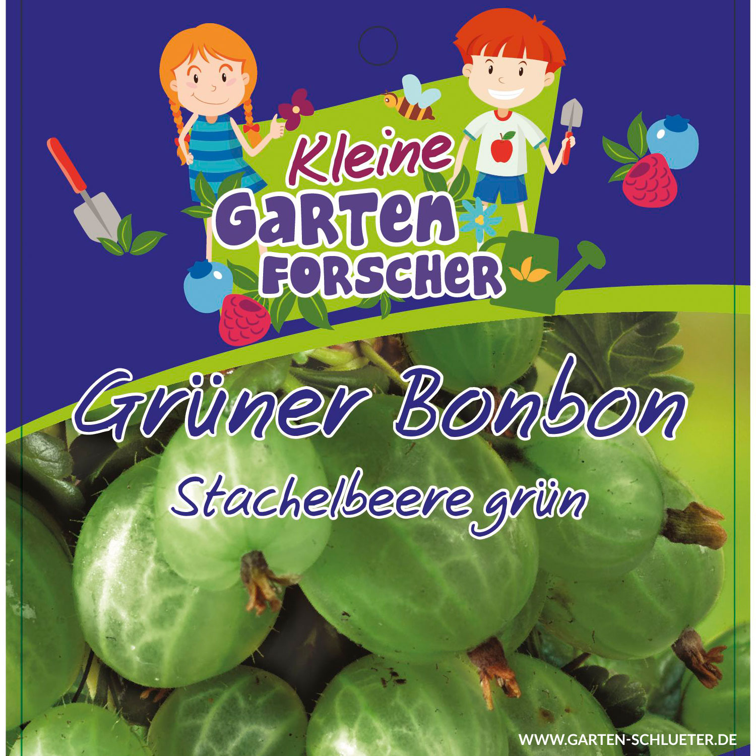 Grüne Stachelbeere 'Grüner Bonbon' Kleine Gartenforscher Halbstamm im 5 Liter Container, Stammhöhe 40-50 cm, 1 Stück Liefergröße: Stammhöhe 40-50 cm Grüne Stachelbeere 'Grüner Bonbon' Kleine Gartenforscher Halbstamm im 5 Liter Container, Stammhöhe 40-50 cm, 1 Stück Liefergröße: Stammhöhe 40-50 cm von Kleine Gartenforscher