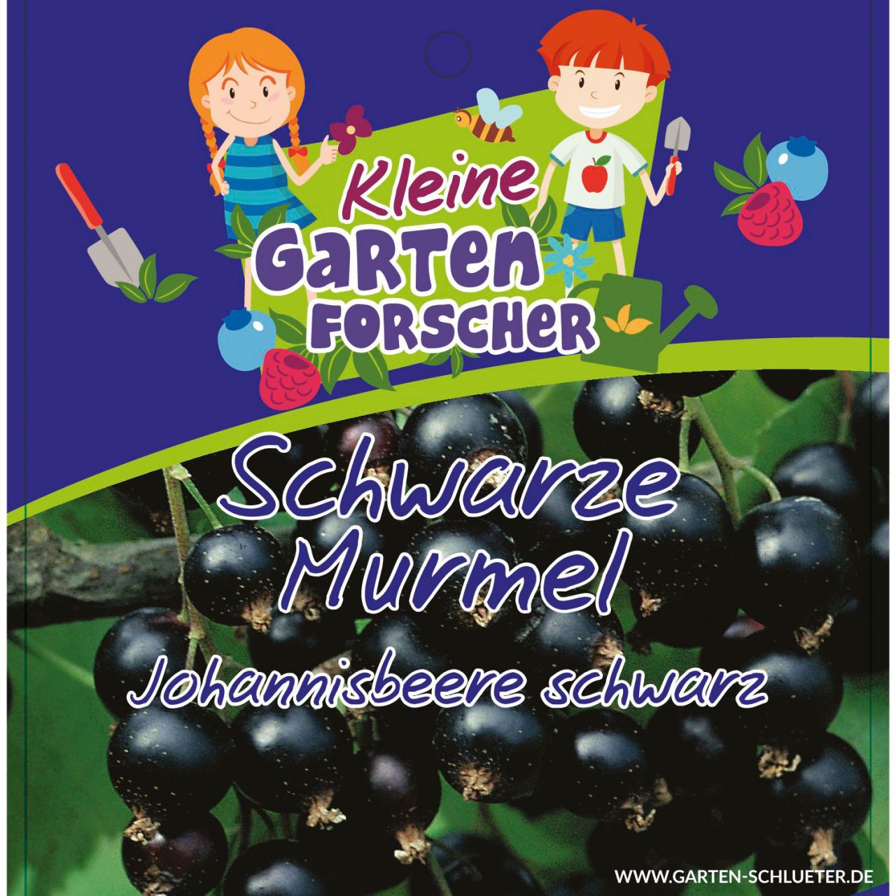Johannisbeere 'Schwarze Murmeln'   - Kleine Gartenforscher von Kleine Gartenforscher