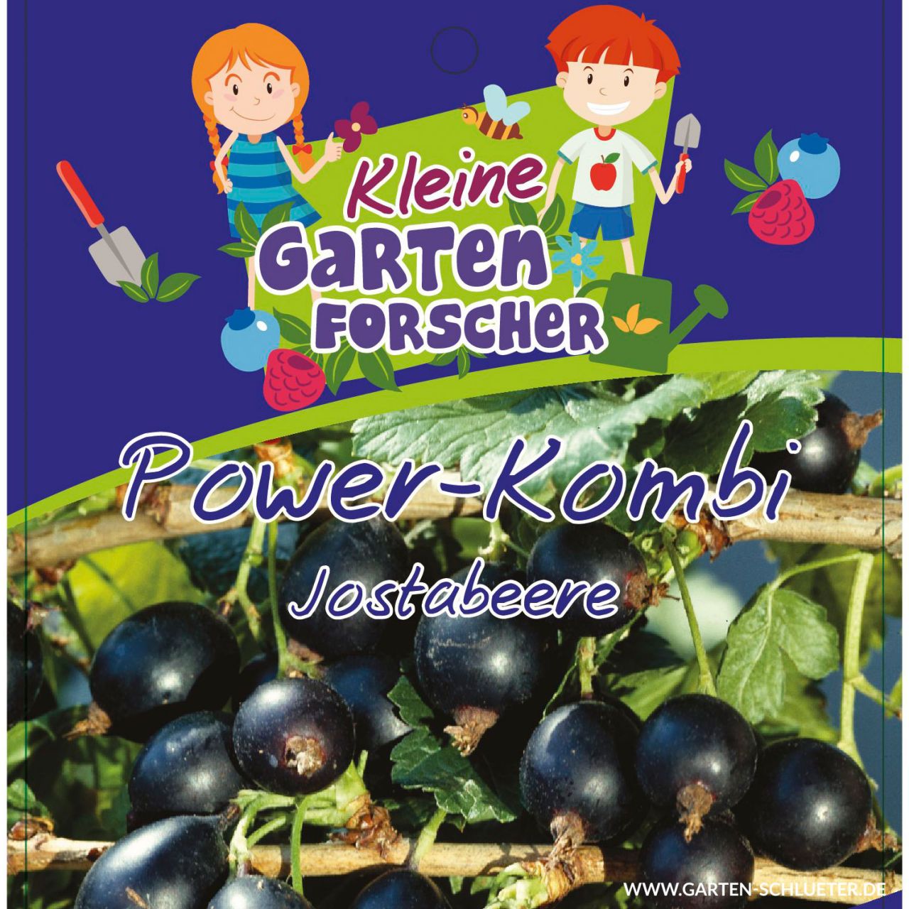 Jostabeere 'Power-Kombi' Kleine Gartenforscher von Kleine Gartenforscher
