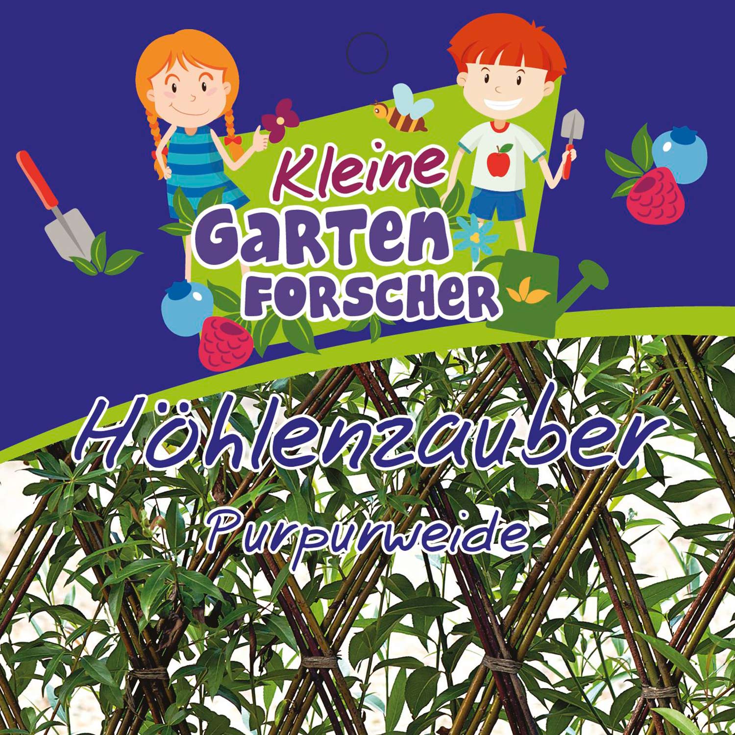Purpurweide 'Höhlenzauber' Kleine Gartenforscher Liefergröße: ca. 40 - 60 cm Purpurweide 'Höhlenzauber' Kleine Gartenforscher Liefergröße: ca. 40 - 60 cm von Kleine Gartenforscher