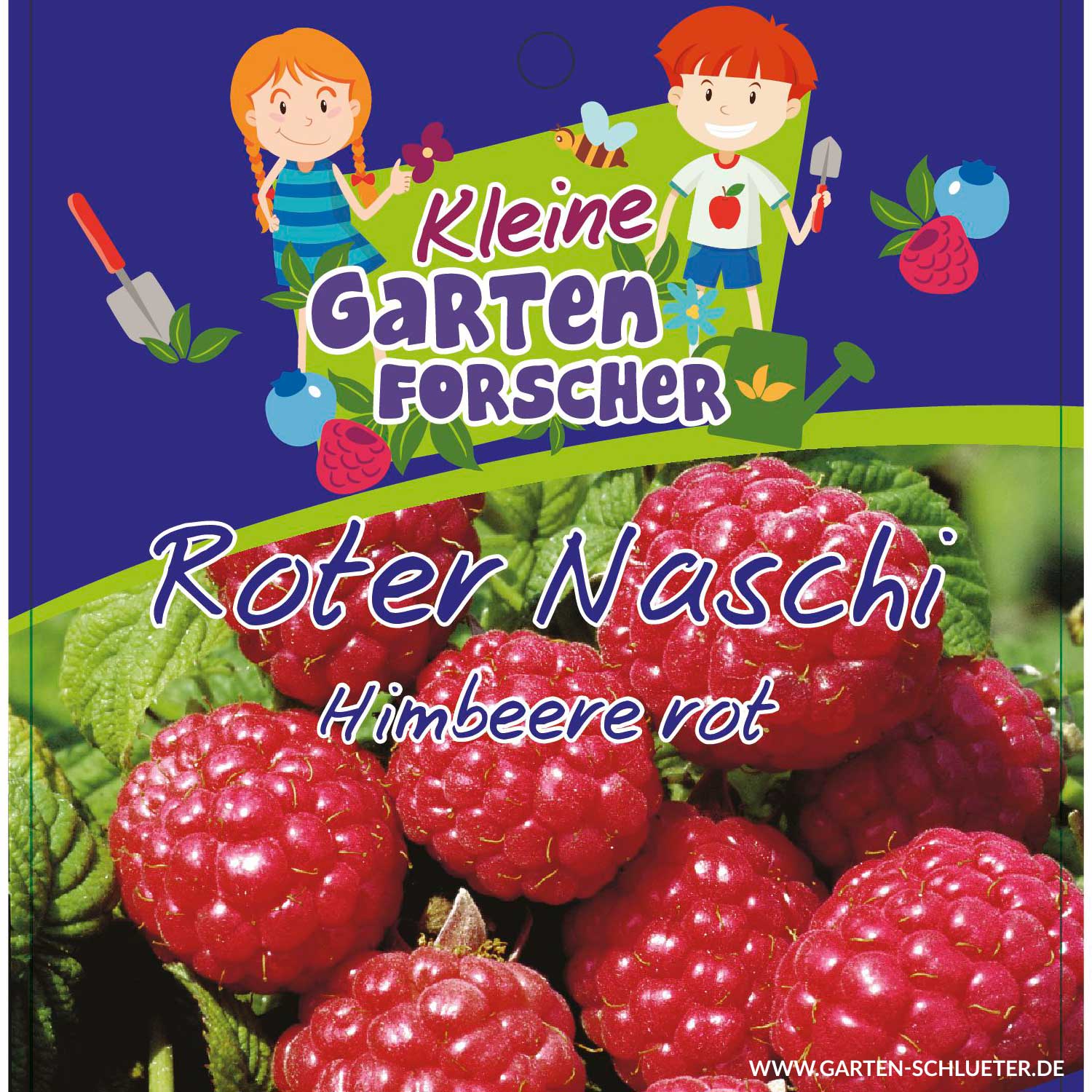 Rote Himbeere 'Roter Naschi' Kleine Gartenforscher von Kleine Gartenforscher