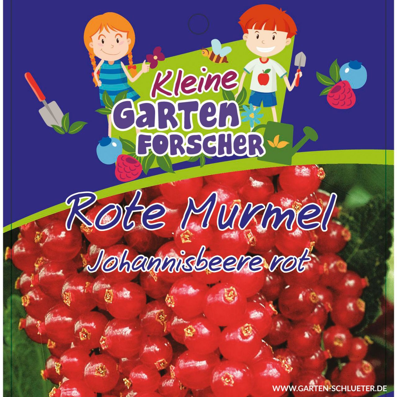 Rote Johannisbeere 'Rote Murmel'  - Kleine Gartenforscher von Kleine Gartenforscher