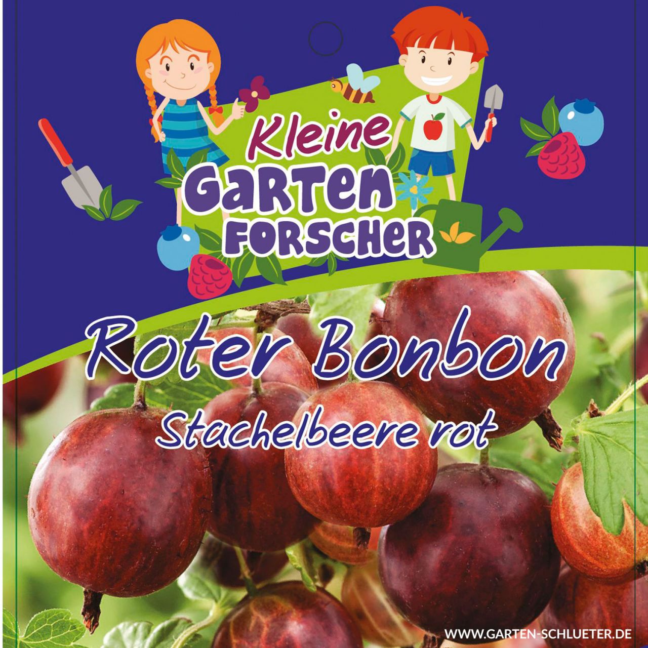 Rote Stachelbeere 'Roter Bonbon'  - Kleine Gartenforscher von Kleine Gartenforscher