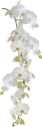 KLEINE WOLKE Wandfolie Statics Orchid weiß von Kleine Wolke