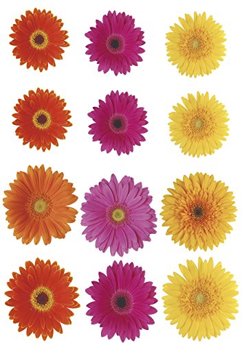 Kleine Wolke 1912148836 Wanddekoration Gerbera Farbe Multicolor 15 x 23,5 cm von Kleine Wolke