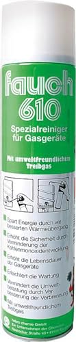 Fauch 610 Kesselreiniger 600 ml Spraydose von Klint