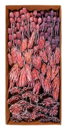 Exoten Sortiment Flora II - Exoten Afrika - 270 Stück Großpackung - Frosted - Naturmaterialien für würdevolle Trauerfloristik & Dekoration (Brombeere/Erika) von Klocke Dekorationsbedarf