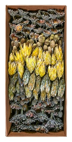 Exoten Sortiment Flora II - Exoten Afrika - 270 Stück Großpackung - Frosted - Naturmaterialien für würdevolle Trauerfloristik & Dekoration (Grün Mix) von Klocke Dekorationsbedarf