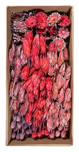 Exoten Sortiment Flora II - Exoten Afrika - 270 Stück Großpackung - Frosted - Naturmaterialien für würdevolle Trauerfloristik & Dekoration (Lavendel) von Klocke Dekorationsbedarf