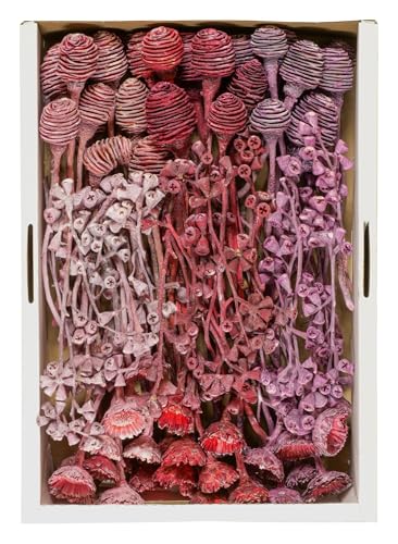 Exoten Sortiment Protea I - Exoten Afrika - 100 Stück Floristenpackung - Naturmaterialien für würdevolle Trauerfloristik & Dekoration (Lavendel/Frosted) von Klocke Dekorationsbedarf