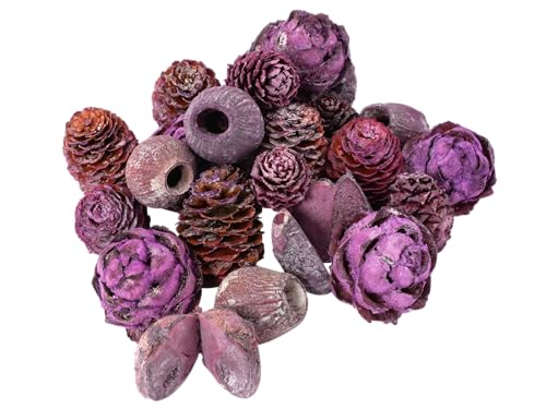 Exoten Sortiment Zapfen - Exoten Afrika - 1 Kg - Naturmaterialien für würdevolle Trauerfloristik & Dekoration (Brombeere/Frosted) von Klocke Dekorationsbedarf