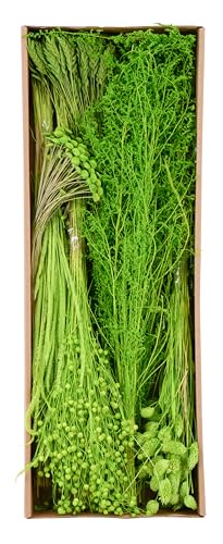 Gräsersortiment 350g - Gemischtes Sortiment - Natürliche Eleganz für Ihre Deko (Apfelgrün) von Klocke Dekorationsbedarf