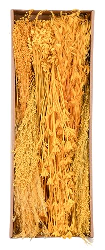 Gräsersortiment 350g - Gemischtes Sortiment - Natürliche Eleganz für Ihre Deko (Gelb) von Klocke Dekorationsbedarf