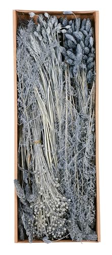 Gräsersortiment 350g - Gemischtes Sortiment - Natürliche Eleganz für Ihre Deko (Silbergrau) von Klocke Dekorationsbedarf