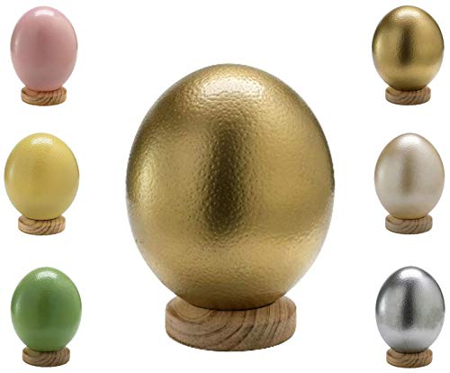 Klocke Dekorationsbedarf Südafrikanisches Straußenei Farbig - Hochwertige Qualität – 1 Stück (ohne Standfuß) – Entleert & Ausgeblasen & Gereinigt (Gold) von Klocke Dekorationsbedarf
