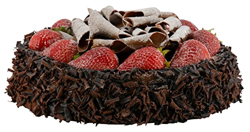 Naturgetreue Lebensmittel Attrappe – Künstliche Tortenartikel – Food Dummy/Plastikessen - Dekoration (Torte Schoko - 23x5 cm) von Klocke Dekorationsbedarf