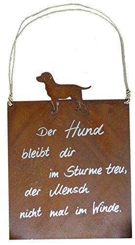 Sprücheschild zum Hängen - Rost/Rostoptik/Edelrost - Hund/Hundemotiv - 25x15cm - Wetterfest & Frostsicher - Rostschild/Metallschild/Metall Spruchtafel/Gartenschild/Wanddekoration von Klocke Edelrost Dekor