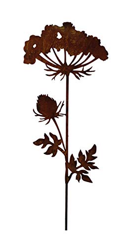 Wunderschöner & Hochwertiger Gartenstecker – Rost Blume/Blumenstecker – Große Auswahl – Edelrost Dekoblume – Metall Gartendeko (Wilde Möhre - Länge 100cm) von Klocke Edelrost Dekor