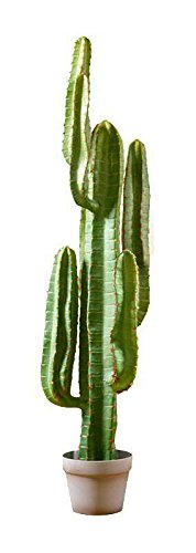 Moderner Kaktus im Topf - XL Kunstkaktus/Künstlich - Höhe: 115cm - Premium Kunstpflanze - Kaktus Künstlich/Dekokaktus - Naturgetreu & Hochwertig von Klocke Kunstpflanzen