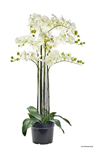 Wunderschöne & Hochwertige Orchidee im Topf - Große Pflanze künstlich - Weiße Blüten - Naturgetreue Phalaenopsis/Dekoorchidee - Höhe: 110cm - Topfpflanze/Deko Zimmerpflanze von Klocke Kunstpflanzen