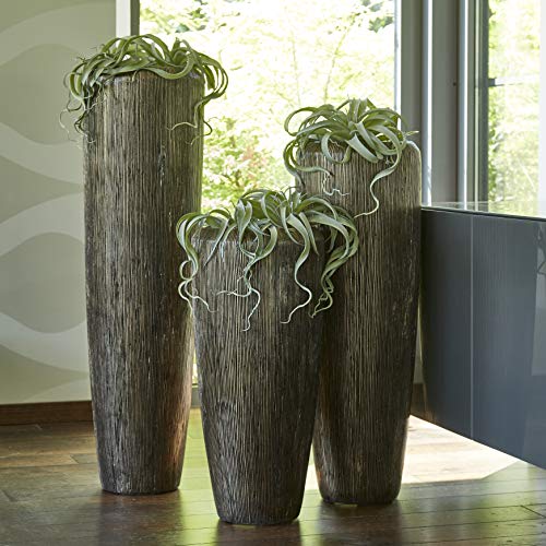 Edle & Hochwertige Pflanzvase Rillenstruktur - Fiberglas - Inklusive Einsatz – Indoor – Pflanzkübel Metallic/Metallisch (Groß: 120cm, Bronze) von Klocke Pflanzgefäße