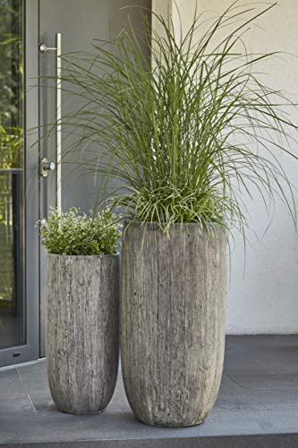 Hochwertige & Wunderschöne Pflanzvasen im 2er Set - Holzoptik/Holzstruktur - Fiberglas - Mit Einsatz – Indoor – Blumenkübel/Pflanzgefäß/Vase/Kübel (Grau) von Klocke Pflanzgefäße