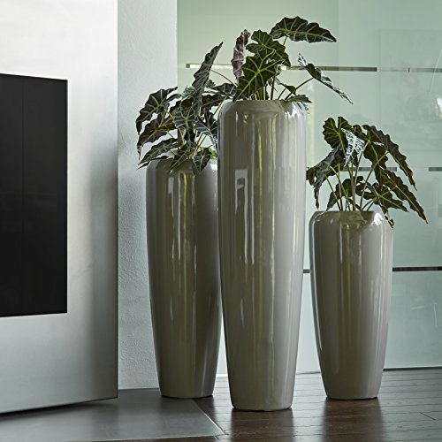 Moderne & Hochwertige Pflanzvase/Pflanzkübel – Groß: 120cm - Hochglanz Taupe - Fiberglas - Mit Einsatz – Indoor & Outdoor – Wetterbeständig & Frostsicher von Klocke Pflanzgefäße