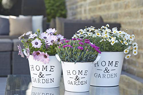 Wunderschönes Zink Pflanzgefäß/Pflanztopf - Home & Garden - Indoor & Outdoor - Frostfest - Weißer Zinktopf/Zinkgefäß/Blumentopf/Tischdeko (Alle Größen im Sparset) von Klocke Pflanzgefäße