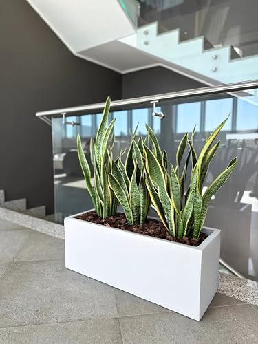 Kloris Blumenkasten, rechteckig, modern, aus Polyethylen, 100 x 30 cm, Höhe 30 cm, weiß, hohe Qualität, hergestellt in Italien von Kloris