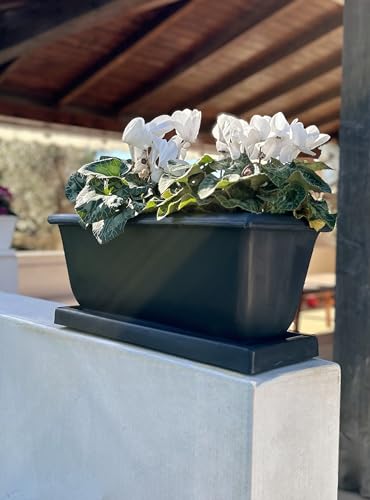 Kloris Blumenkasten Balkonkasten für Pflanzen rechteckig 51x22x23 cm mit Untersetzer Made in Italy Hohe Qualität von Kloris